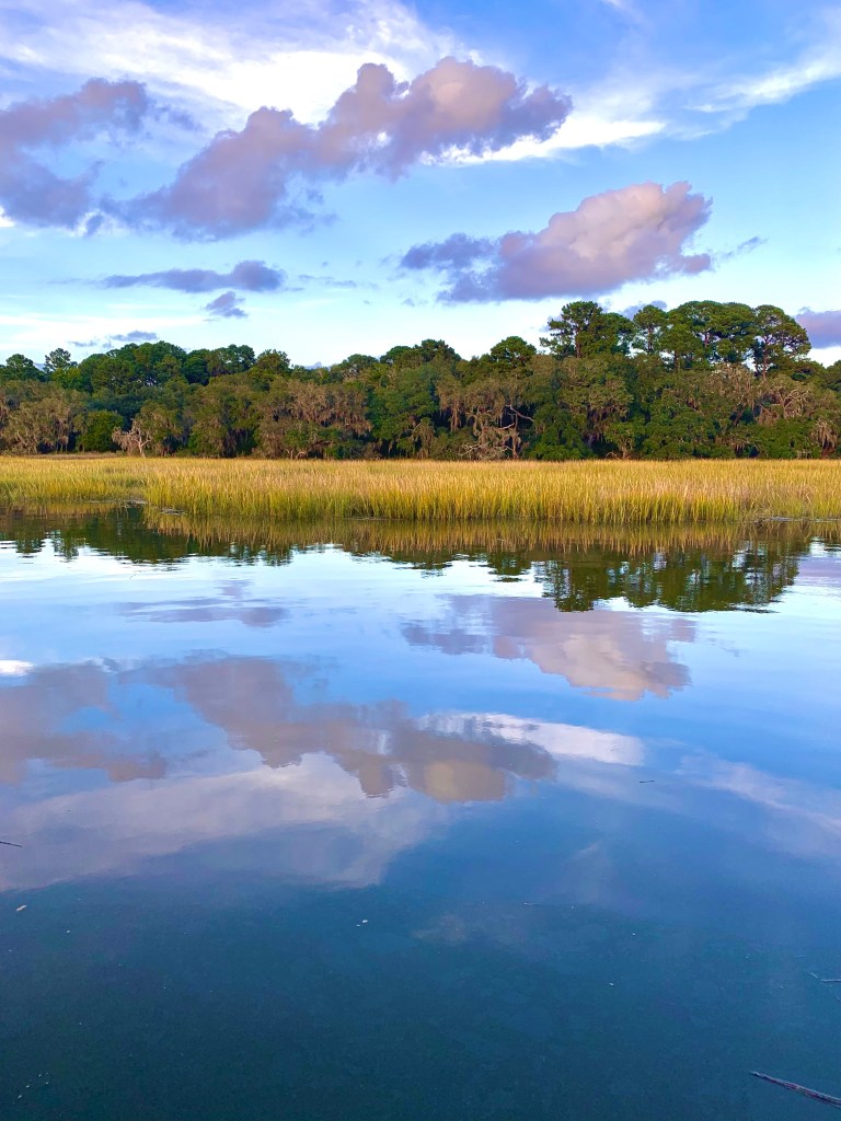 view of the lake reflecting the trees in the background