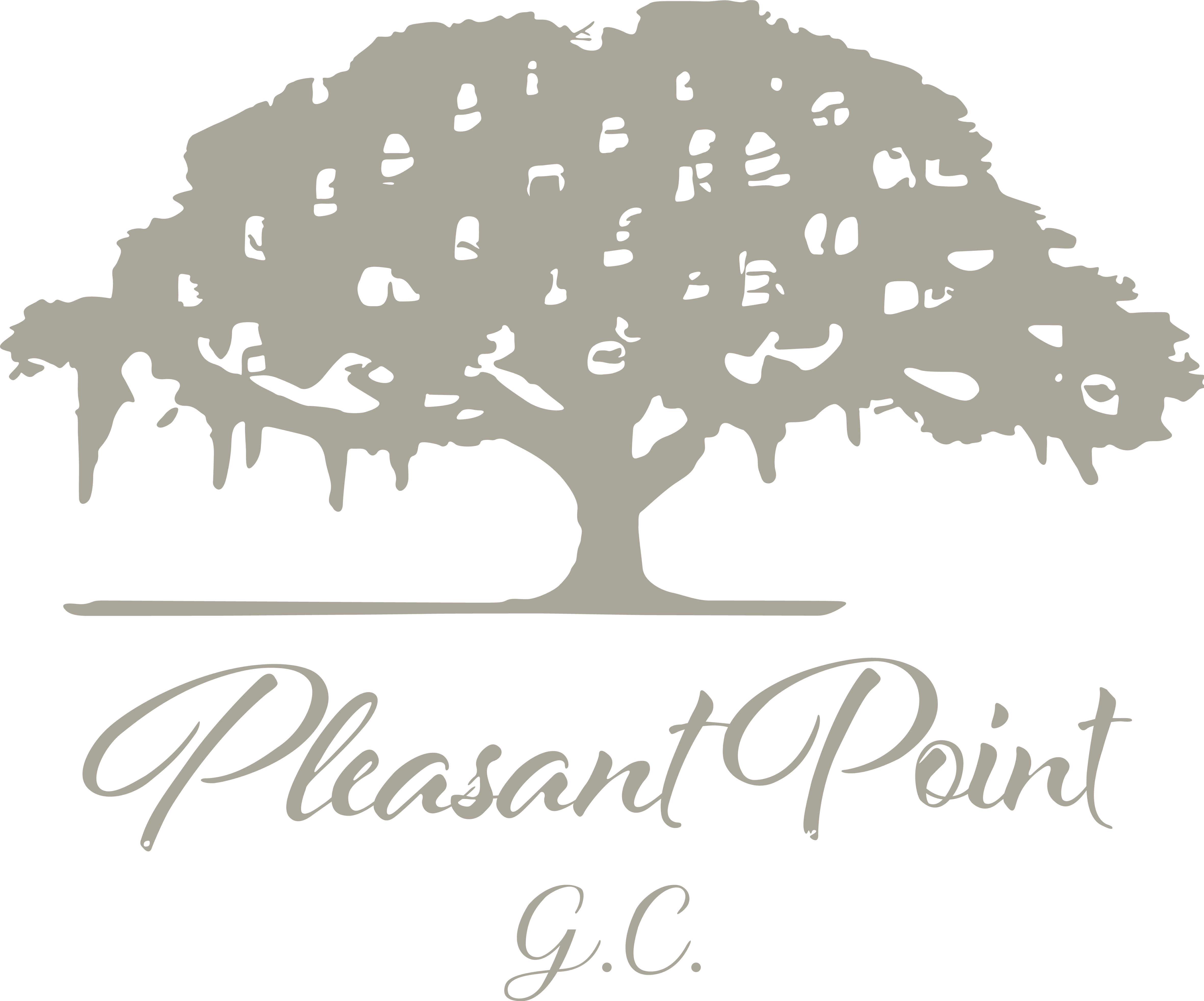 Pleasant Point Golf Course